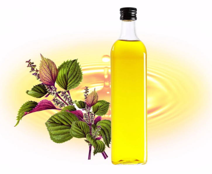 Perilla seed oil