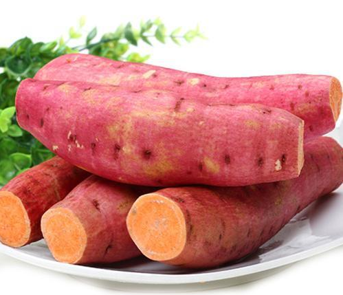Fresh sweet potato produces starch