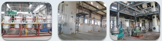 Three kinds of edible oil refining equipment
