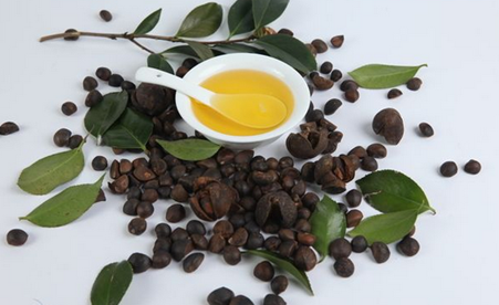 Tea seed oil