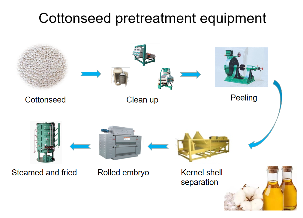 Cottonseed pretreatment