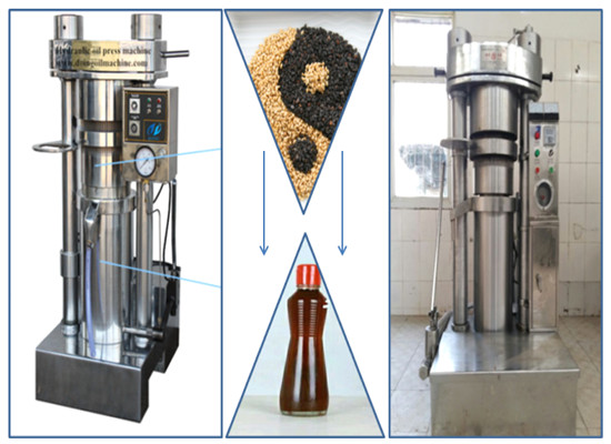 Hydraulic sesame oil press