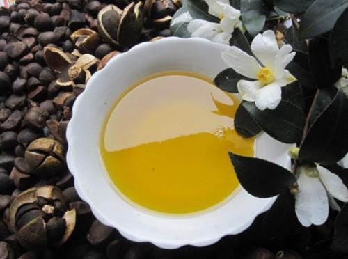 Camellia oil